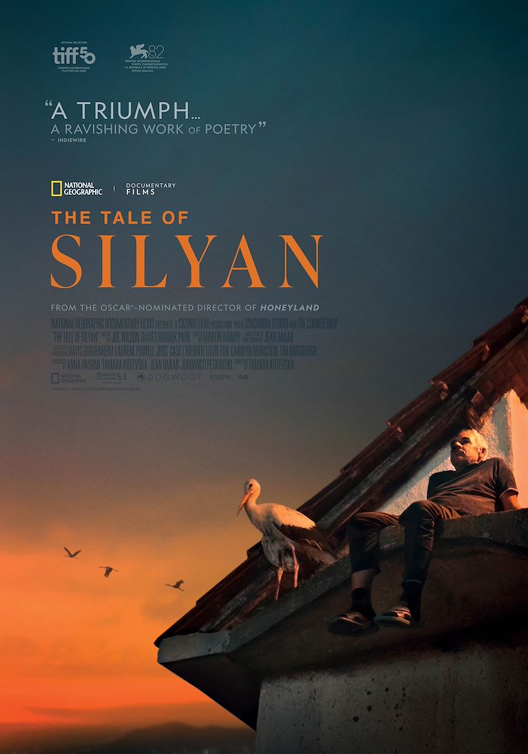 Poster van The Tale of Silyan