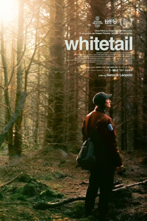 Witstaar film poster met een persoon in een bos, zonlicht door de bomen, sfeer van natuur en avontuur, gericht op film en outdoor thema's voor Cinema Middelburg.