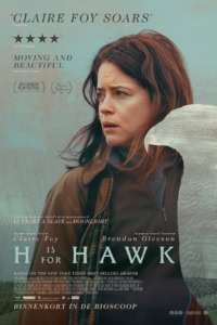 Hawk film poster met een vrouw die naar de horizon kijkt, geschikt voor bioscoop en filmtheater websites.
