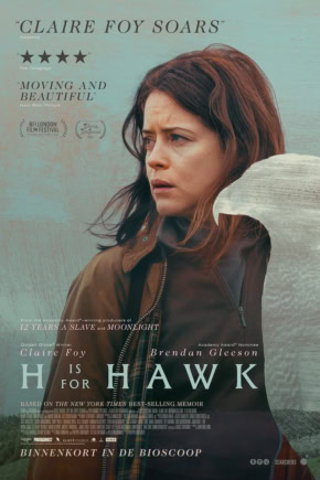 Hawk film poster met een vrouw die naar de horizon kijkt, geschikt voor bioscoop en filmtheater websites.