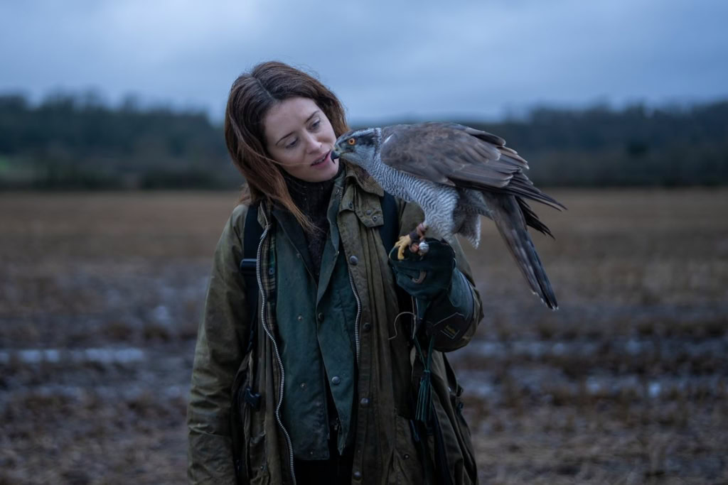 Vrouw houdt een valk op haar arm in een uitgestrekt, open landschap met een bewolkte hemel. Perfect voor een filmposter of promotie van de film "H Is For Hawk" bij Cinema Middelburg.