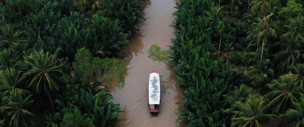 Een boot vaart door een brede rivier omgeven door weelderige groene jungle, met dichtbegroeide bomen en palmbomen aan weerszijden, onder een heldere hemel.