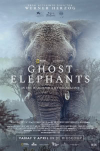 Grote olifant met mistige achtergrond, promotie voor film "Ghost Elephants" in Cinema Middelburg.