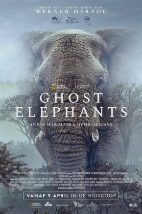 Grote olifant met mistige achtergrond, promotie voor film "Ghost Elephants" in Cinema Middelburg.