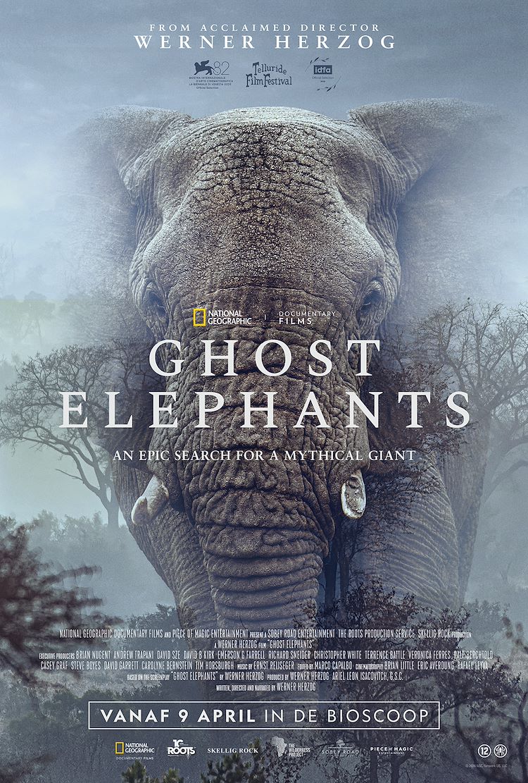 Poster van Ghost Elephants