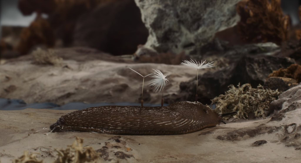 Een close-up van een zeedieren, mogelijk een zeepaardje, op een rotsachtige ondergrond met twee dandelionzaadjes die boven het water zweven.