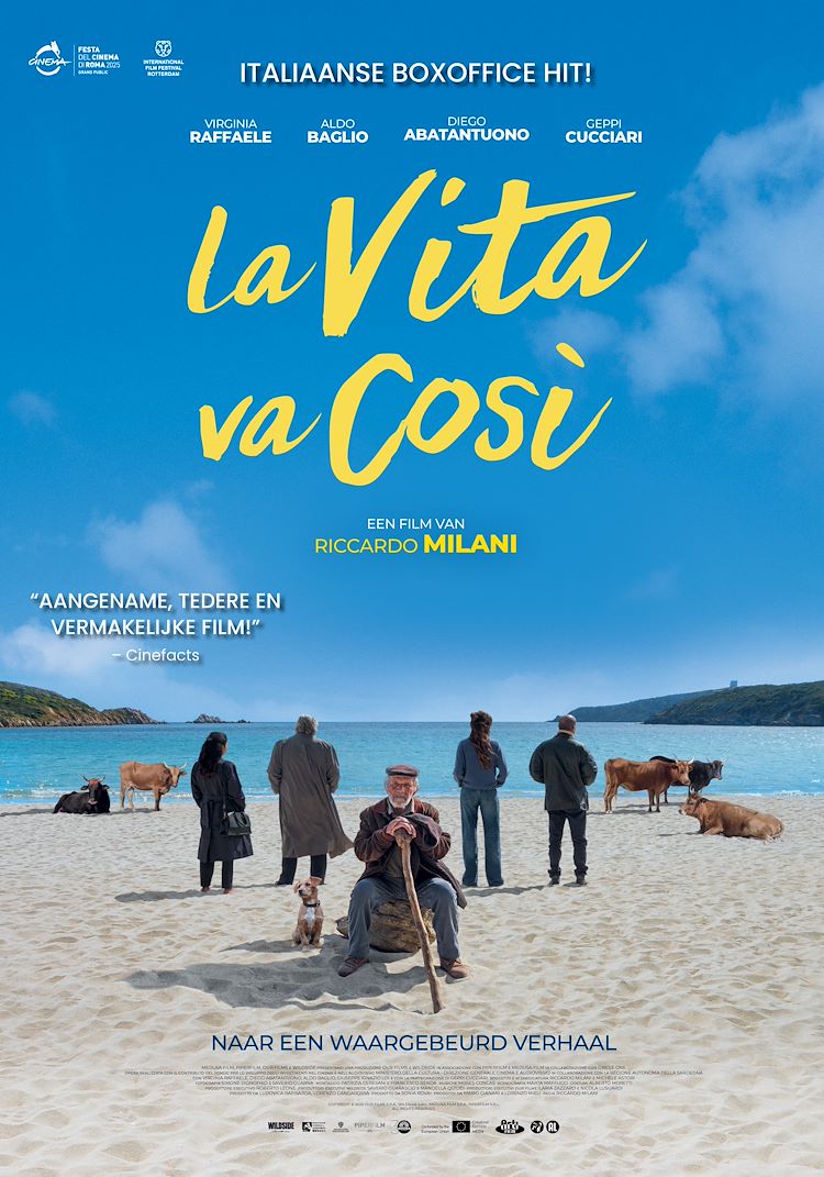 Poster van La Vita va Cosi