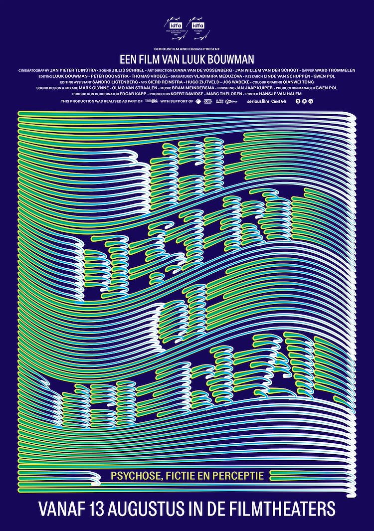 Poster van The Desert of the Real