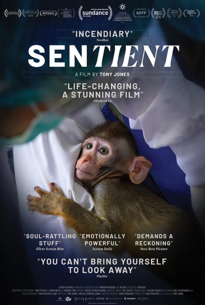 Poster van Movies That Matter on Tour: Sentient