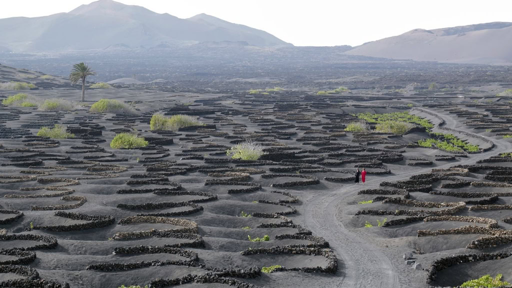 Natuurbeeld van een uitgestrekt lavavel veld met cirkelvormige sporen, enkele groene planten en wandelaar in rode jas op afstand.